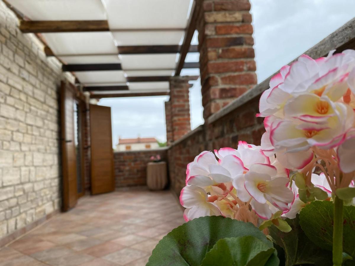 Paradise Villa Cassonni Istria 4 Stars Butkovici  Exterior photo